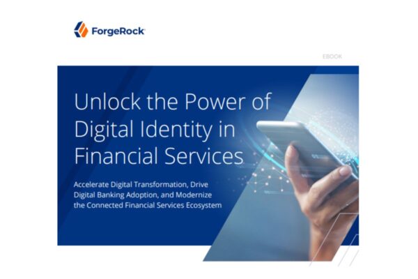 Unlock the Power of Digital Identity in Finacial Services – ACEInformer